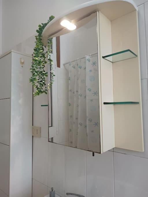 Apartment Monolocale Vicino Metro Libia Rom
