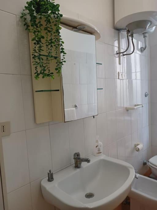 Apartment Monolocale Vicino Metro Libia *